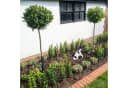 relaxdays Gartenfigur buddelnder Hund Weiß Schwarz Polyresin Bild 5