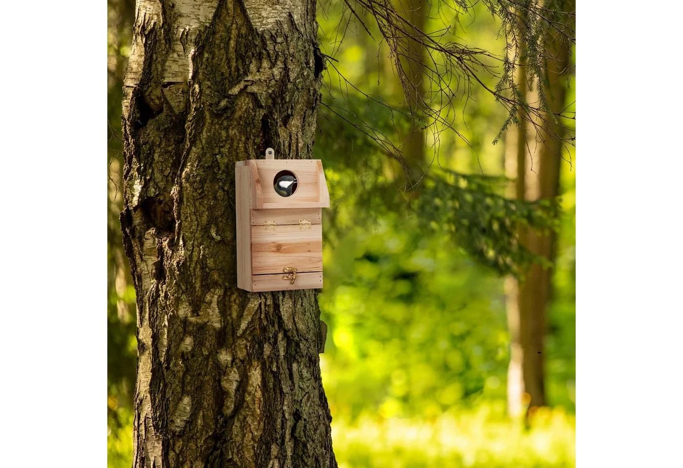 relaxdays Nistkasten mit Reinigungsklappe Natur Tannenholz