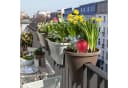 relaxdays Bewässerungssystem Tonkegel 4er Set Bunt Bild 1