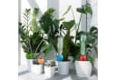 relaxdays Bewässerungssystem Tonkegel 4er Set Bunt Bild 5