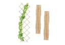 relaxdays Ausziehbares Rankgitter 3er Set Tannenholz Natur Bild 2
