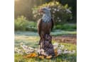 relaxdays Gartenfigur Adler Polyresin Deko Bild 5