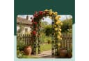relaxdays Rosenbogen Weinreben Schwarz Eisen Gartenbogen Bild 1