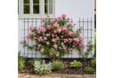 relaxdays Rankgitter Set 2er Pack Schwarz Stahl Garten Bild 1