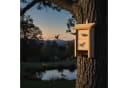 relaxdays Fledermauskasten 2er Set aus Holz mit Anflughilfe Bild 3