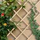 relaxdays Rankgitter Ausziehbar 3er Set Natur Tannenholz Bild 3