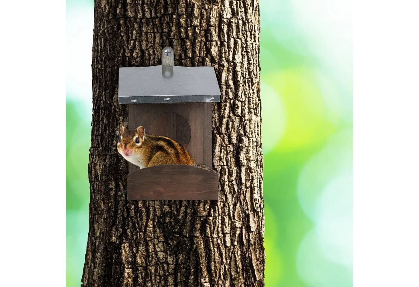 relaxdays Eichhörnchen Futterhaus mit Metalldach Dunkelgrün - Bild 3