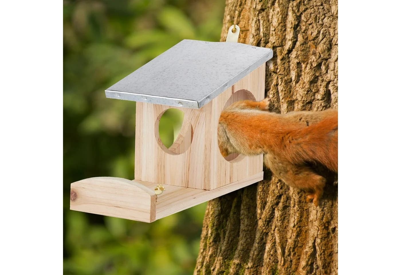 relaxdays Eichhörnchen Futterhaus mit Metalldach Dunkelgrün - Bild 5