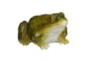 RELAXDAYS Gartenfigur Frosch Kunststein Grün Bild 2
