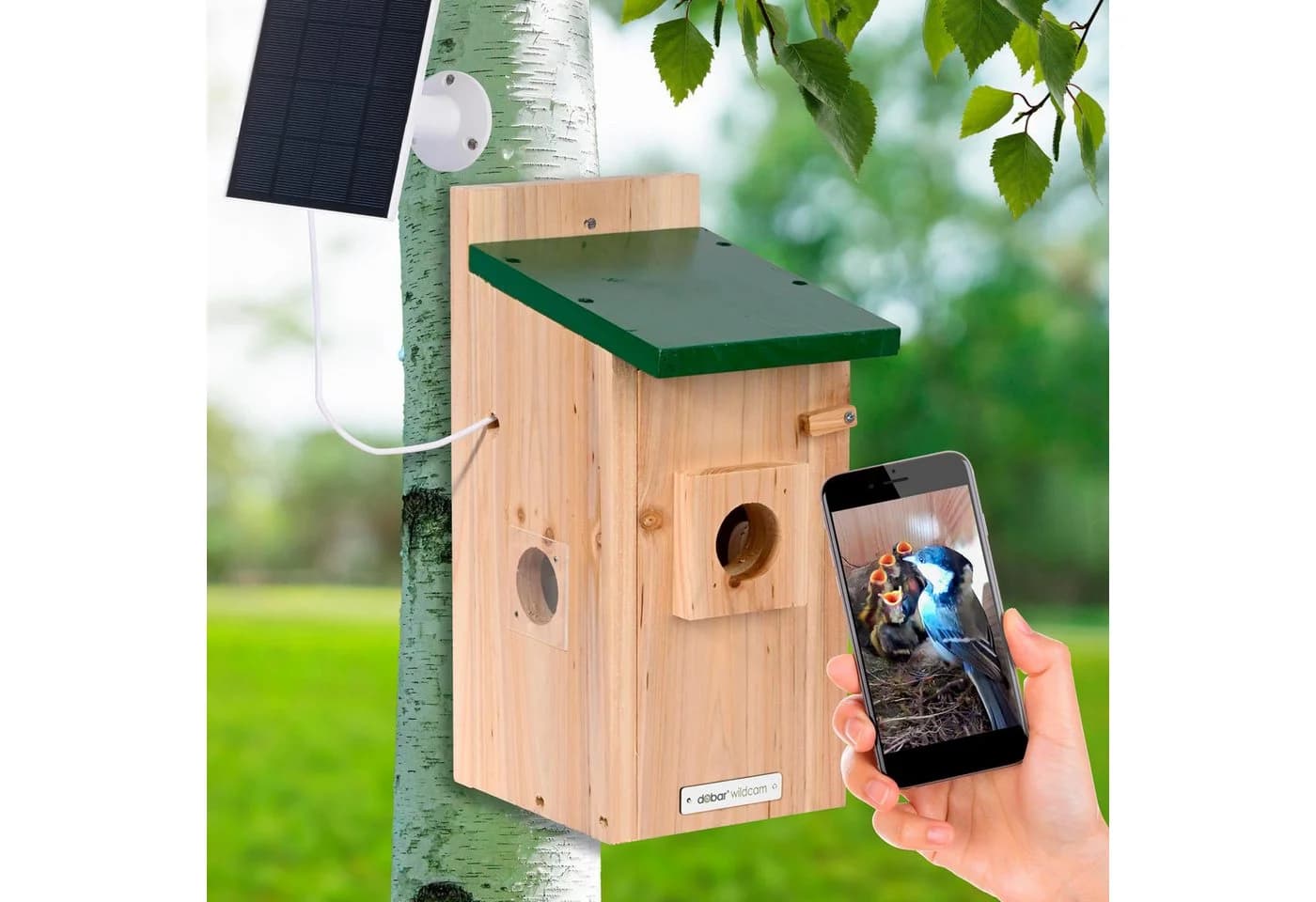 Dobar Vogelhaus Nistkasten Eazy Flachdach inkl. WiFi Kamera und Solar-Panel Grün - Bild 2