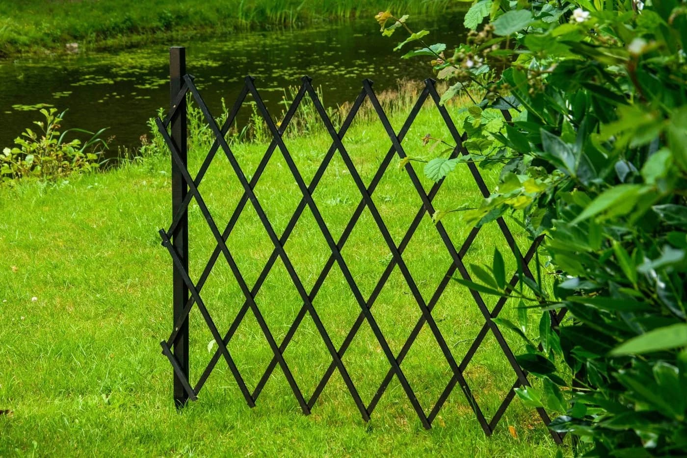 DOBAR Faltbares Rankgitter Schwarz Garten Sichtschutz - Bild 5