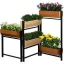 Hochbeet aus Massivholz Kiefer Pinus sylvestris Bild 1