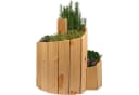 Dobar Kräuterspirale Massivholz Bausatz für Garten Bild 2