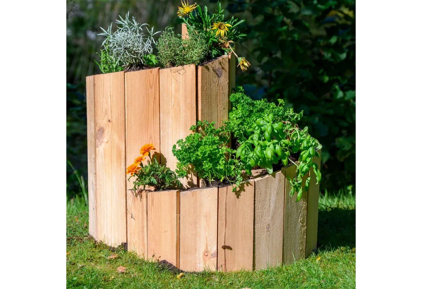 Dobar Kräuterspirale Massivholz Bausatz für Garten - Bild 3
