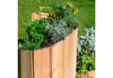 Dobar Kräuterspirale Massivholz Bausatz für Garten Bild 5