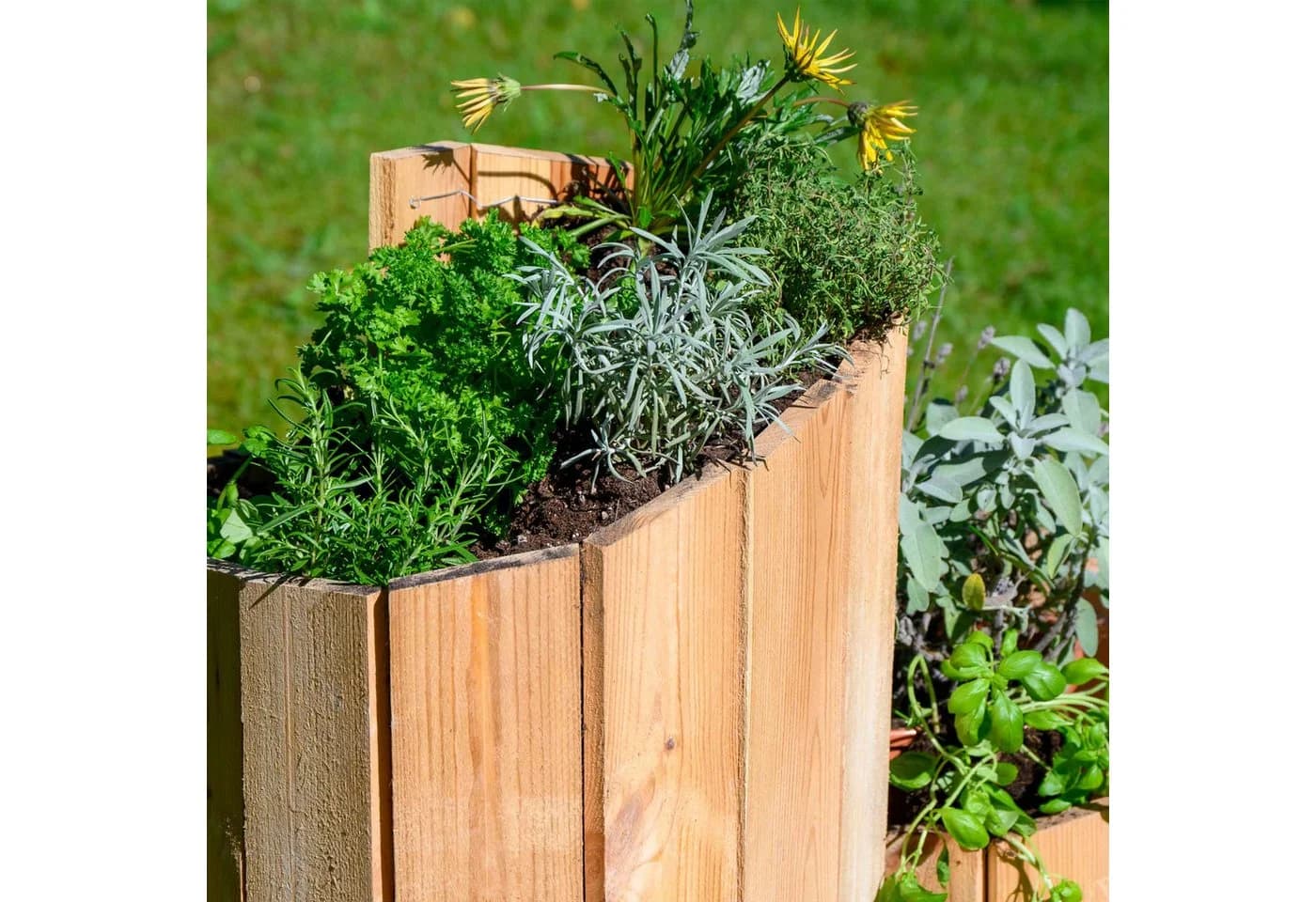 Dobar Kräuterspirale Massivholz Bausatz für Garten - Bild 5