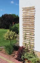 Dobar Rankhilfe Haselnuss Braun Naturbelassen 50x200cm Bild 3