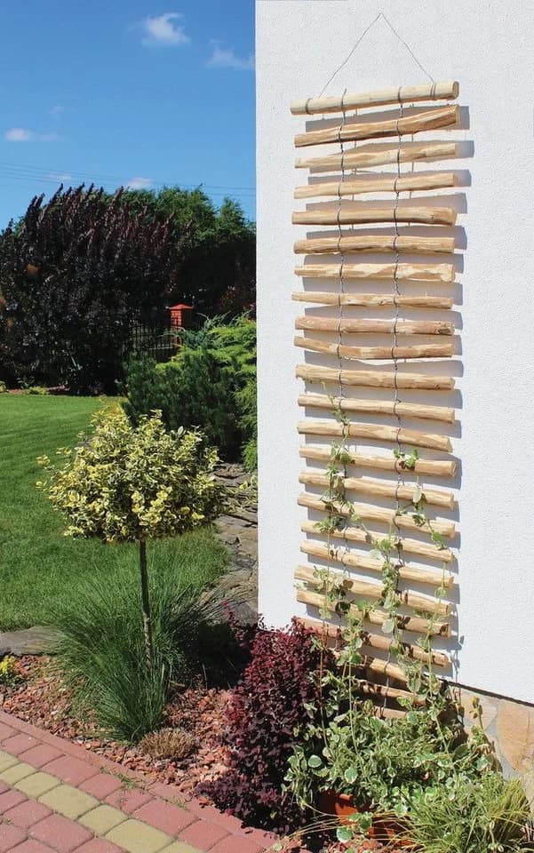 Dobar Rankhilfe Haselnuss Braun Naturbelassen 50x200cm - Bild 3