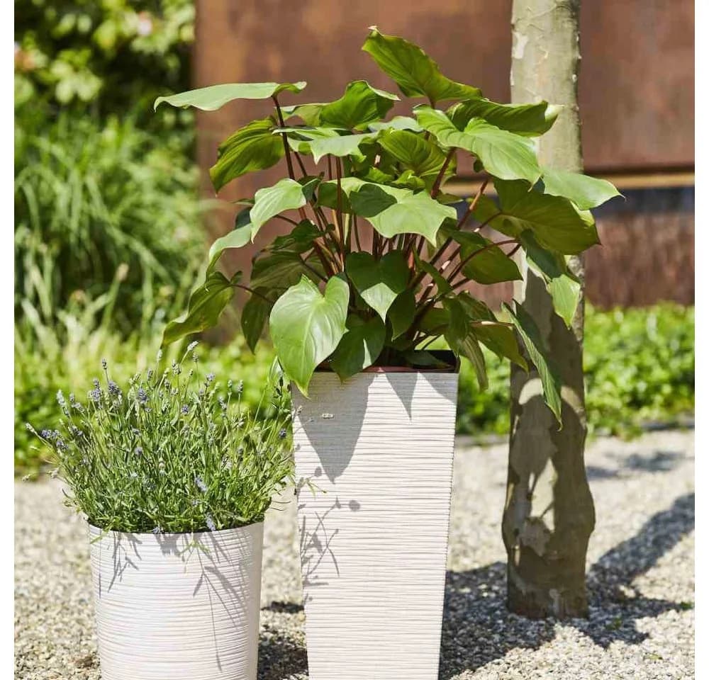 Siena Garden Pflanzkübel Rillenoptik Eckig