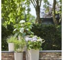 Siena Garden Pflanzkübel ECO Serie Rillenoptik Rund Kunststoff Bild 1