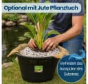 GarPet Pflanzkorb Schwarz UV-stabil Wasserpflanzen Teich Bild 5