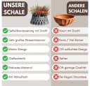 GarPet Grabschale mit Selbstbewässerung Anthrazit/Bronze Bild 3