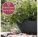 GarPet Pflanzschale Rund Anthrazit mit Untersetzer und Wasserspeicher Bild 3