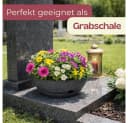 GarPet Pflanzschale Rund Anthrazit mit Untersetzer und Wasserspeicher Bild 5