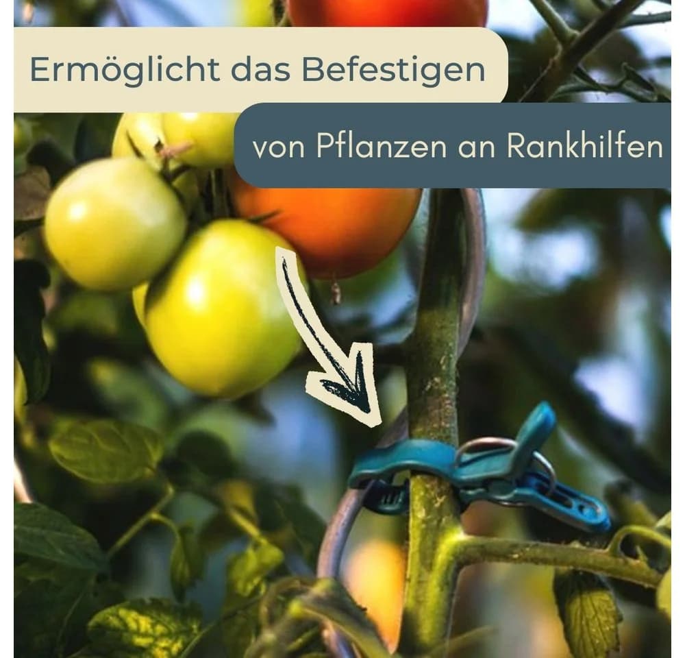 GarPet Pflanzschnur mit 10 Pflanzenclips für Kletterpflanzen & Rankhilfe - Bild 3