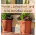 GarPet Pflanzkübel Halbrund Groß 35L Grau Terrakotta Bild 4