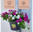 GarPet Blumentopf für Regenrohr Grau - Pflanzgefäß ohne Bohren Bild 3