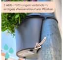 GarPet Blumentopf für Regenrohr Grau - Pflanzgefäß ohne Bohren Bild 4
