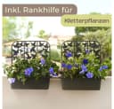 GarPet Blumenkasten 2er Set Anthrazit/Weiß mit Spalier Wasserspeicher Bild 3
