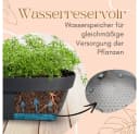 GarPet Kräuterspirale Pflanzsäule Blumentopf Anthrazit Bild 5