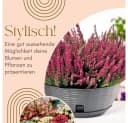 GarPet Blumenampel 2er Set Weidenoptik Anthrazit Bild 3