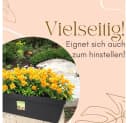 GarPet Balkonkasten 2er Set Blumenkasten Anthrazit Bild 5