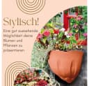 GarPet Wandblumentopf 2er Set Terrakotta Kunststoff Bild 3