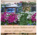 GarPet Balkonkasten 2er Set Anthrazit mit Wasserspeicher Bild 3