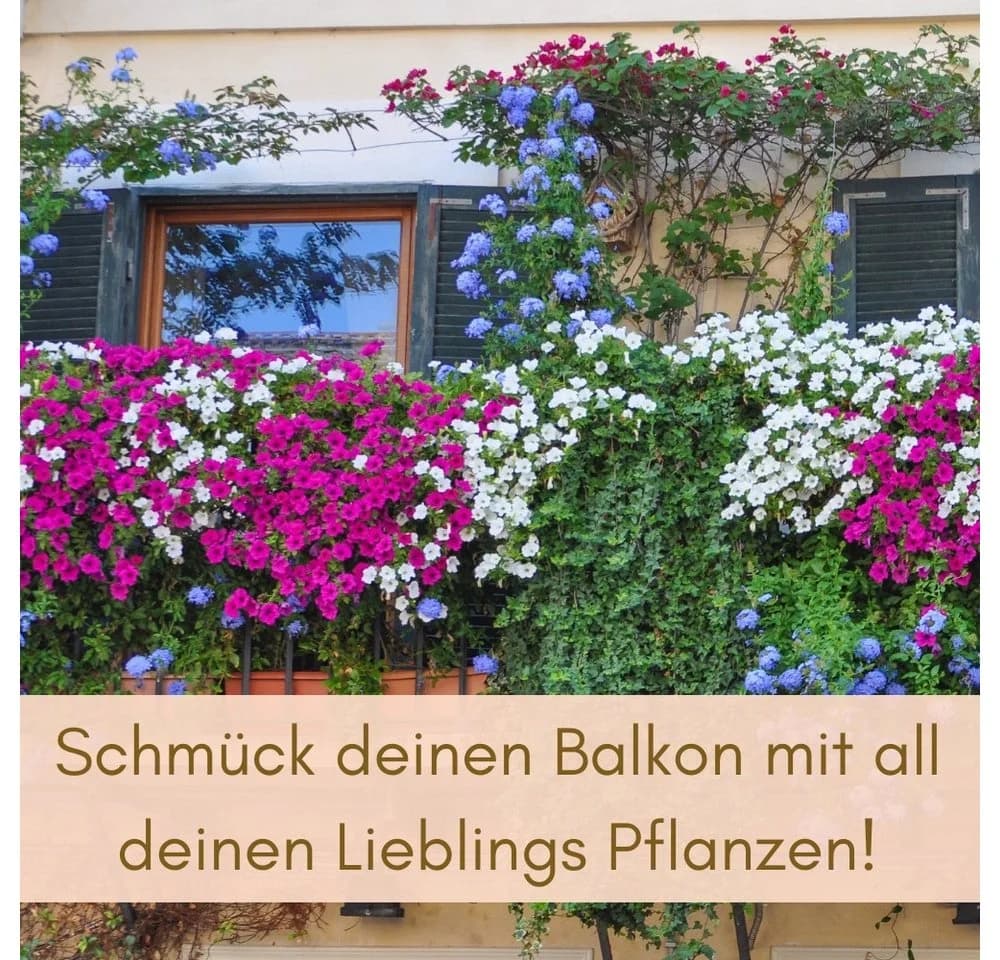 GarPet Balkonkasten 2er Set Anthrazit mit Wasserspeicher - Bild 3