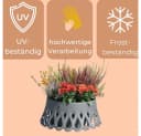 GarPet Grabschale 2er Set Anthrazit Selbstbewässerung Ø 30 cm Bild 3