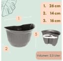 GarPet Blumentopf 2er Set für Regenrohr Wandtopf Anthrazit Bild 1