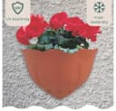 GarPet Wandblumentopf Terracotta Kunststoff Outdoor Bild 4