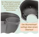 GarPet Blumentopf 4er Set Grau für Regenrohr Bild 5