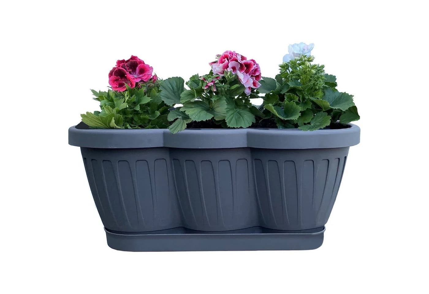 BURI Blumenkasten 40cm Anthrazit mit Bewässerung - Bild 2
