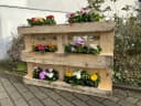 Hossi's Wholesale 4er Set Blumenkasten Zink Silber 38cm Bild 5