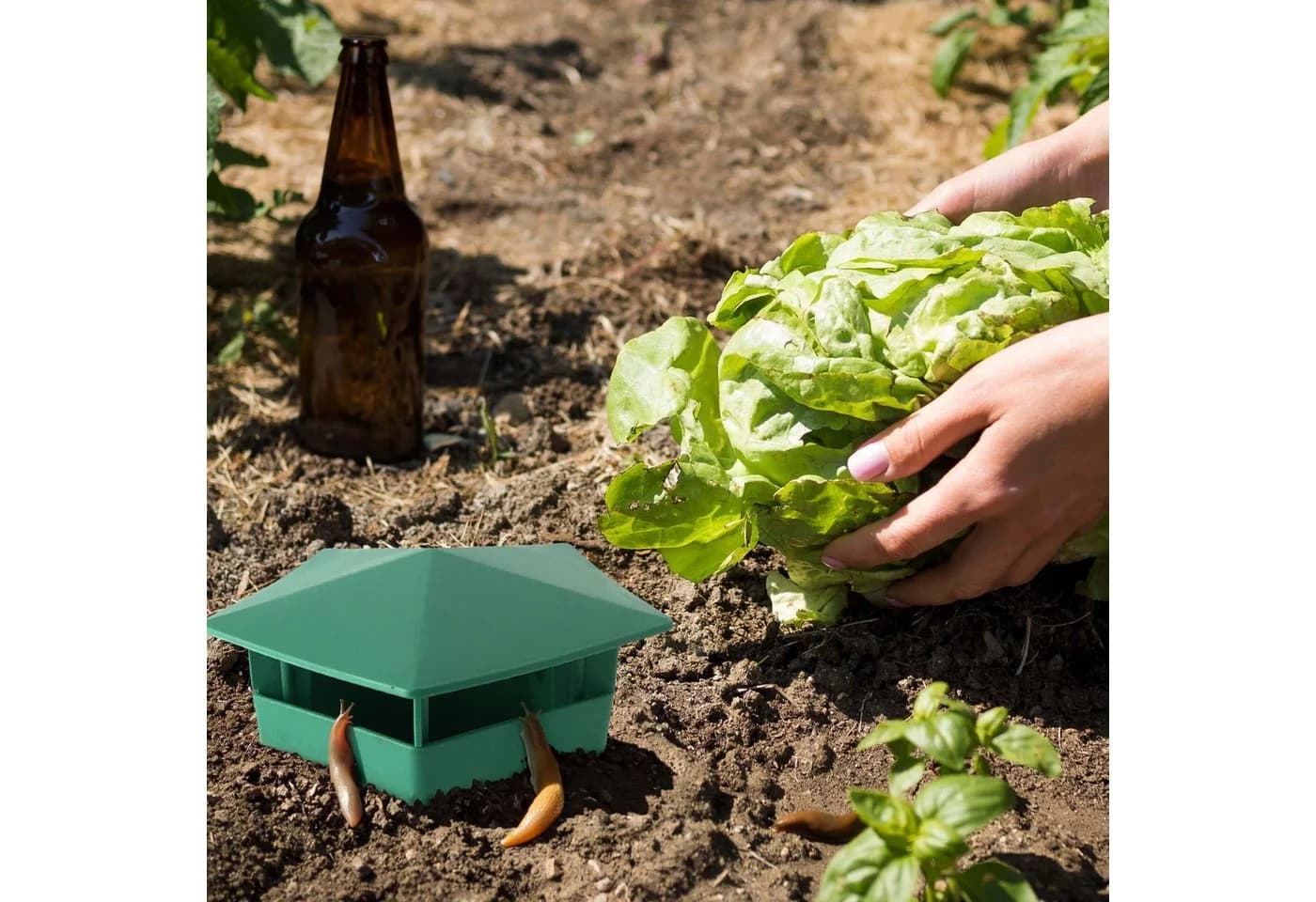 Gravidus Lebendfalle Schneckenfalle Set Schneckenschutz Garten Grün - Bild 4