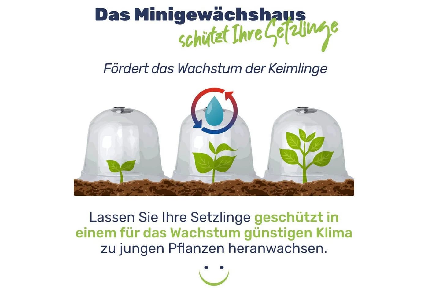 Minigewächshaus aus transparentem Kunststoff, 30x30x30 cm - Bild 5