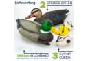 Gravidus Schwimmenten-Set 5-teilig Bunt Kunststoff Teichdeko Bild 4