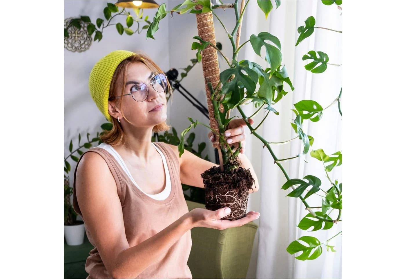 Gravidus Erweiterbare Rankhilfe 110 cm mit Kokosfilz Braun - Bild 4