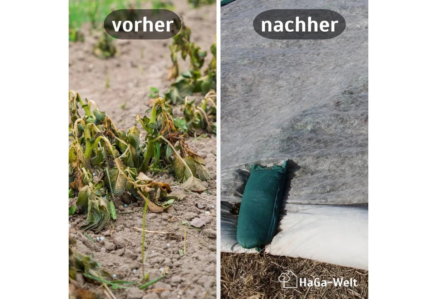 HaGa Bodenschutzvlies 30g/m² 1,6m UV-beständig Weiß - Bild 3